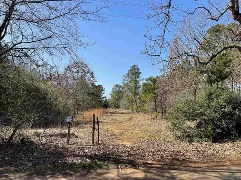 1997 Zinna Rd, Diana, TX 75640
