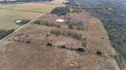 Tract 7 County Road 2158, Cooper, TX 75432