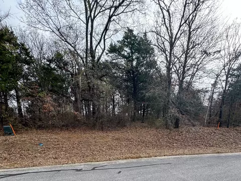 60 Memorial St, Gordonville, TX 76245