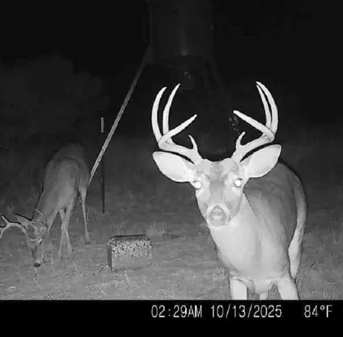 tbd 15850 Acres, Trent, TX 79561