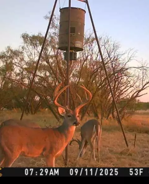 tbd 15850 Acres, Trent, TX 79561