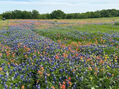 00 Fm-660, Ennis, TX 75119