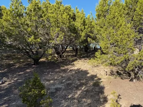 lot599 Caprock Ct, Possum Kingdom Lake, TX 76449