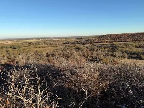 tbd County Road 436, Rising Star, TX 76471