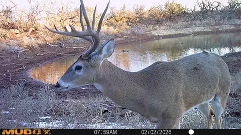 tbd 42 County Road 318, Abilene, TX 79606