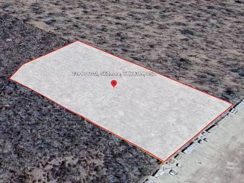239 Private Rd #6011, Skidmore, TX 78389