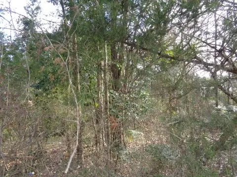 tbd Cr 4870, Winnsboro, TX 75494