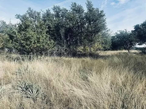 194 Willie B Dr, Brownwood, TX 76801