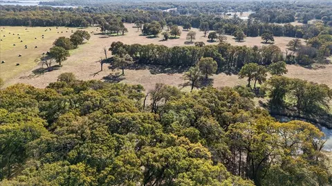 View/Area - 300 County Road 2100 Rd, Seven Points, TX 75143 photo 16 of 18