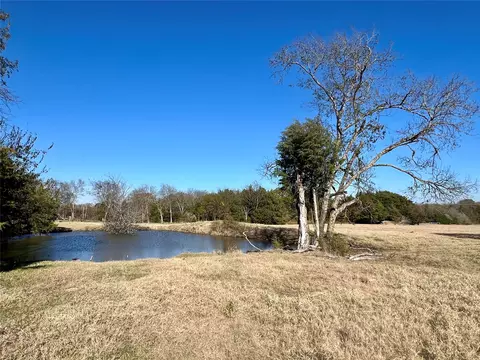 View/Area - 300 County Road 2100 Rd, Seven Points, TX 75143 photo 6 of 18