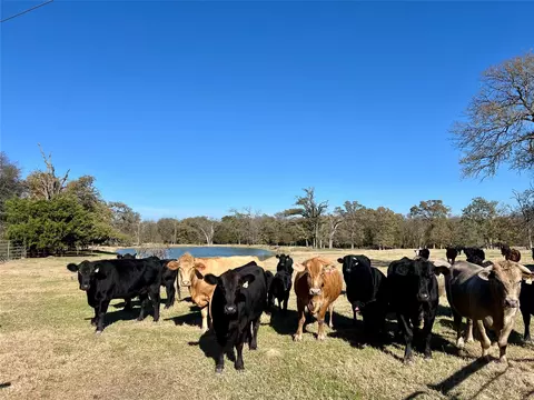 Other - 300 County Road 2100 Rd, Seven Points, TX 75143 photo 2 of 6