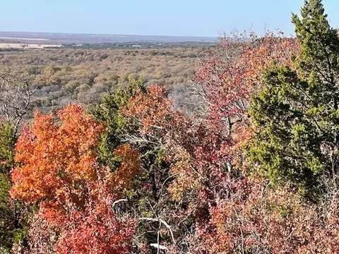 tbd Pecan Shell Rd, Desdemona, TX 76445
