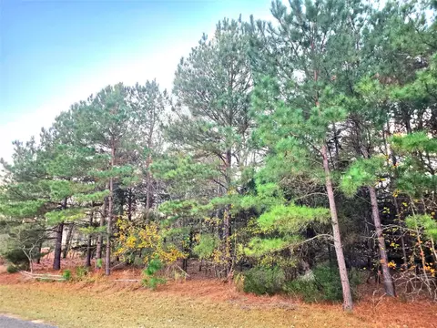 lot401 Mallard Way, Larue, TX 75770