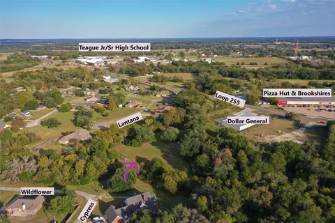 103 Wildflower Ln, Teague, TX 75860