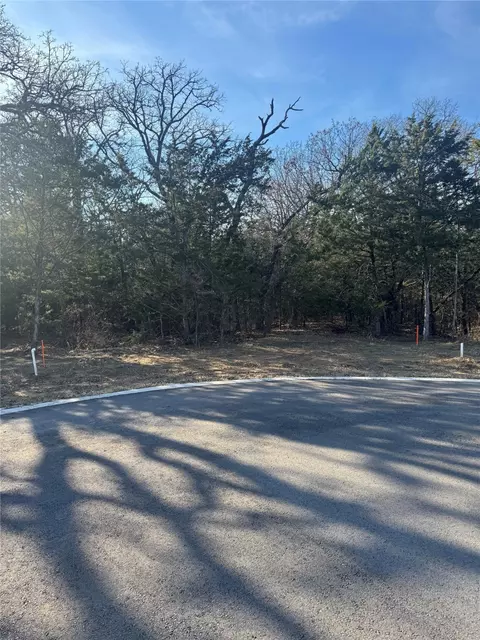 137 Moon Palace Ct, Gordonville, TX 76245