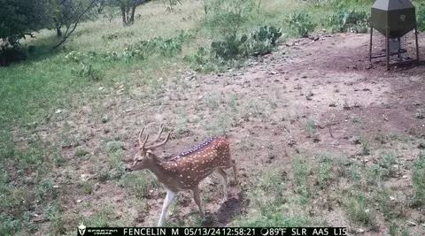 371 Axis Ct, Melvin, TX 76858