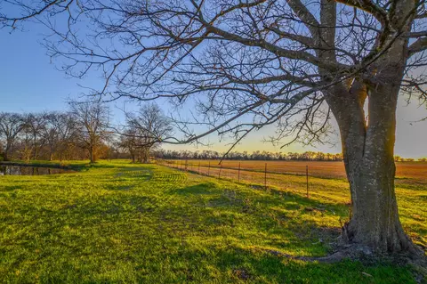 1392 E Us Highway 69, Point, TX 75472