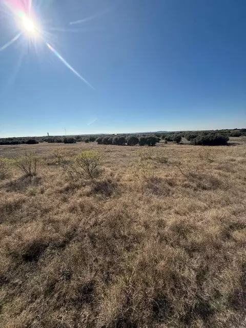 000 Mockingbird Ln, Graford, TX 76449