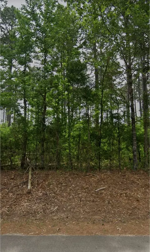 2590 Bodcau Dam Rd, Benton, LA 71006