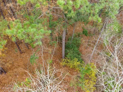 0 Ward, Marshall, TX 75670 photo 5