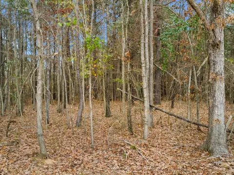 0 Ward, Marshall, TX 75670 photo 6