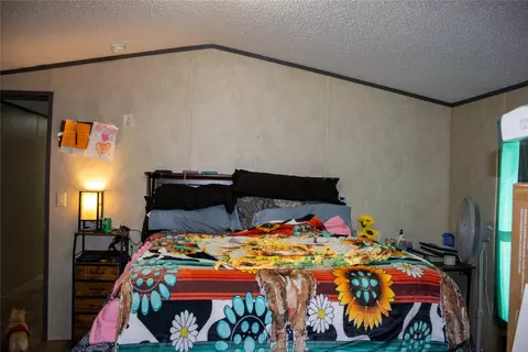 145 Firefly Dr, Springtown, TX 76082 photo 12