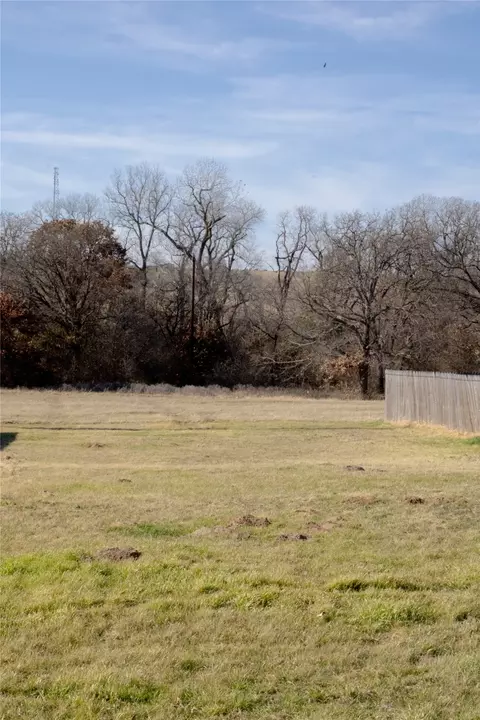 145 Firefly Dr, Springtown, TX 76082 photo 6