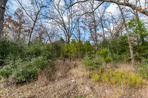 12802 Hidden Acres Rd, Eustace, TX 75124 photo 4