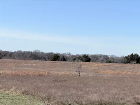 tbd NE County Road 2140, Kerens, TX 75144