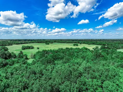 00000 Fm 903 Hwy, Celeste, TX 75423 photo 21