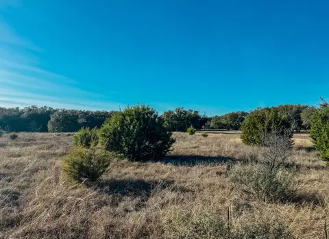 tbd Wild Tree Ln, Early, TX 76802