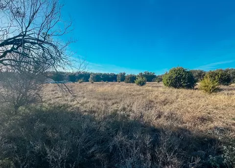tbd Wild Tree Ln, Early, TX 76802 photo 4