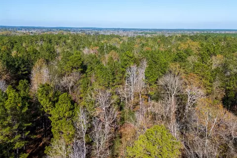 000 County Road 1135, Kennard, TX 75835
