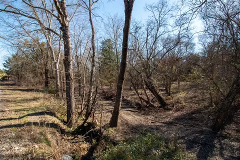 lot1 County Road 2905, Dodd City, TX 75438