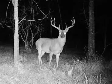 000 Tx-19, Emory, TX 75117