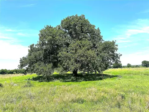 40 Acres Tbd Hwy 2247, Comanche, TX 76442 photo 12
