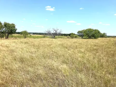 40 Acres Tbd Hwy 2247, Comanche, TX 76442 photo 15