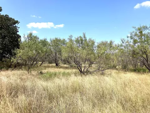 40 Acres Tbd Hwy 2247, Comanche, TX 76442 photo 9