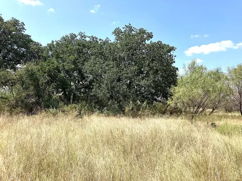40 Acres Tbd Hwy 2247, Comanche, TX 76442 photo 3