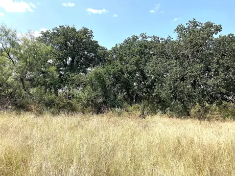 40 Acres Tbd Hwy 2247, Comanche, TX 76442 photo 10
