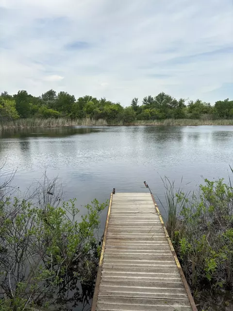 tbd Causeway Rd, Jacksboro, TX 76458