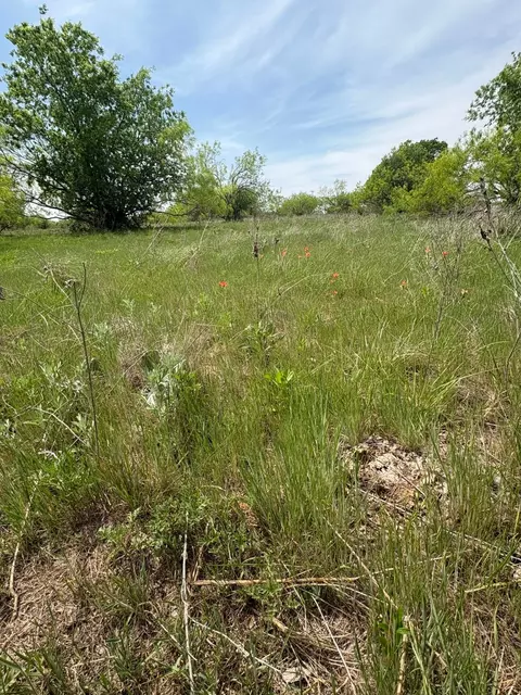 tbd Causeway Rd, Jacksboro, TX 76458 photo 3