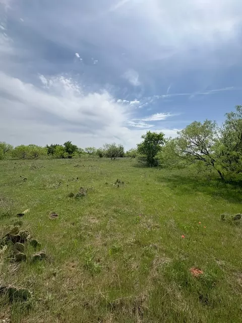 tbd Causeway Rd, Jacksboro, TX 76458 photo 9