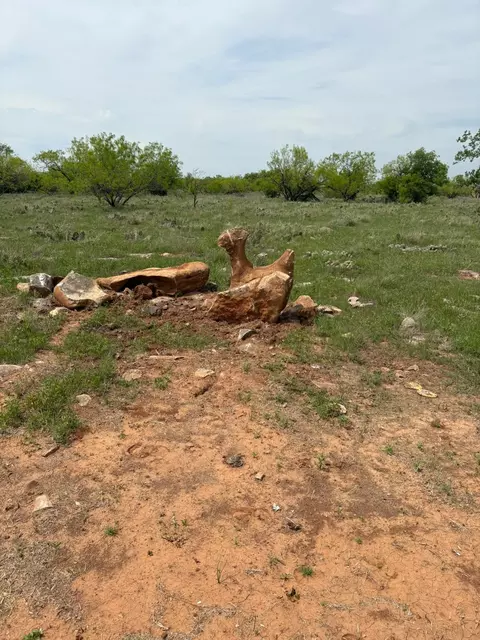 tbd Causeway Rd, Jacksboro, TX 76458 photo 8