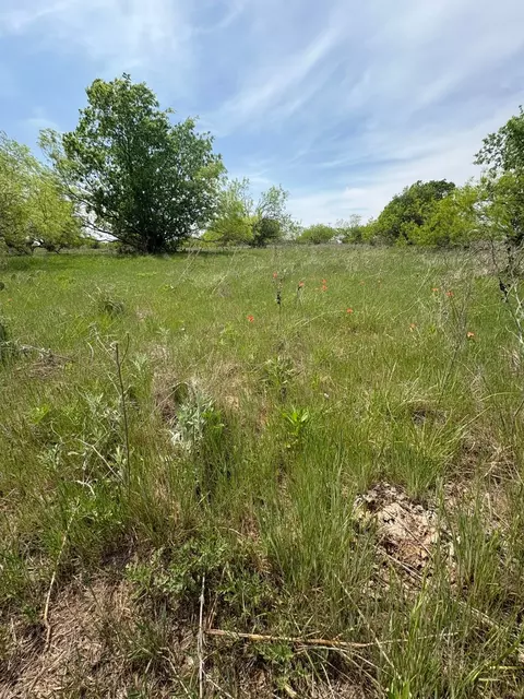 tbd Causeway Rd, Jacksboro, TX 76458 photo 6
