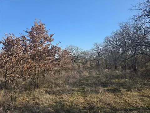 1017 Vh Ranch Rd, Poolville, TX 76487
