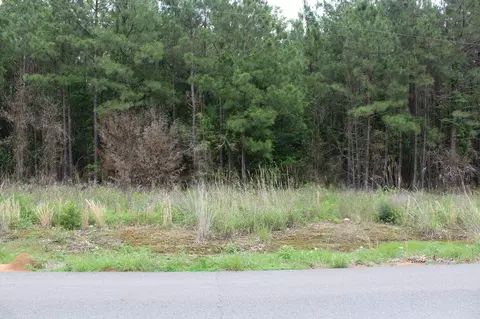 0 Mott Rd, Plain Dealing, LA 71064 photo 5