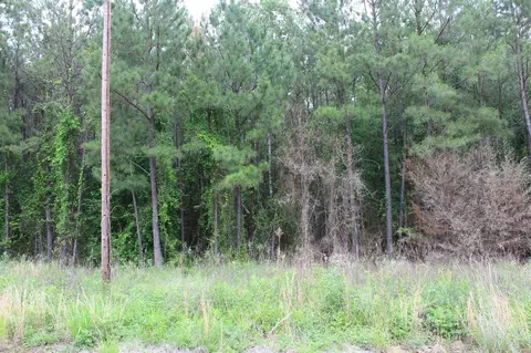0 Mott Rd, Plain Dealing, LA 71064 photo 4