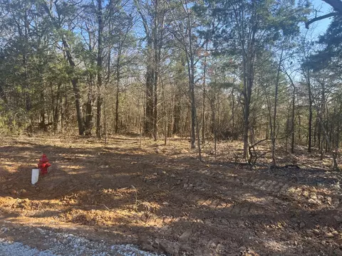 lot35 Reflection Bay Blvd, Gordonville, TX 76245
