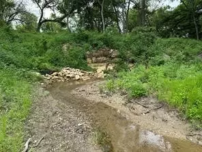 lot3 Ranchside Ct, Itasca, TX 76055